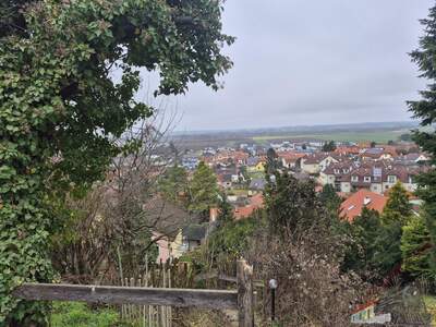 Einfamilienhaus kaufen in 3433 Königstetten (Bild 5)