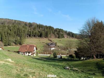 Grundstück kaufen in 8152 Geistthal
