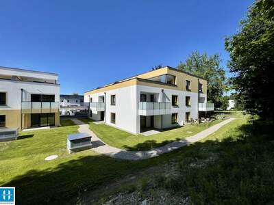 Wohnung kaufen in 4910 Ried (Bild 1)