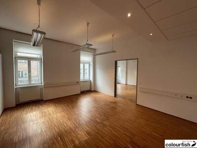 Gewerbeobjekt mieten in 1190 Wien (Bild 3)