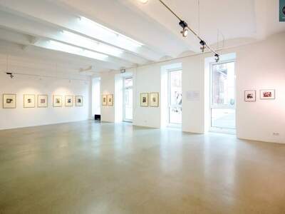 Gewerbeobjekt mieten in 1100 Wien