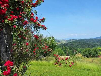 Haus kaufen in 8442 Kitzeck
