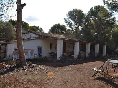 Immobilie kaufen in 7620 Llucmajor (Bild 2)