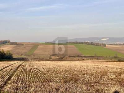 Land- und Forstwirtschaft kaufen in 7034 Zillingtal