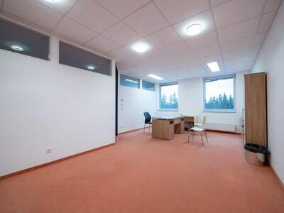 Büro / Praxis mieten in 4800 Attnang (Bild 3)