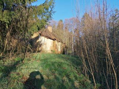 Haus kaufen in 8505 Sankt Nikolai (Bild 3)