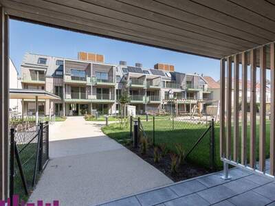 Terrassenwohnung kaufen in 1100 Wien (Bild 3)