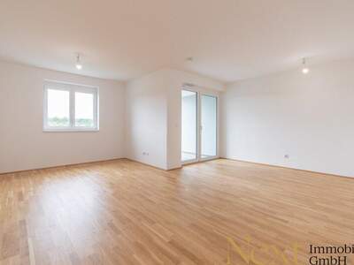 Terrassenwohnung kaufen in 3100 St. Pölten (Bild 2)