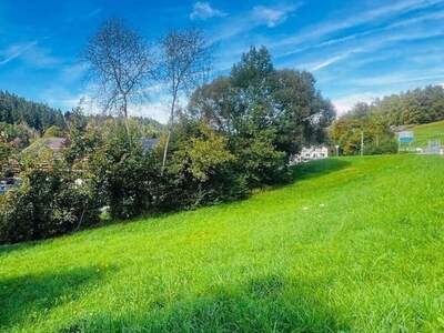 Grundstück kaufen in 4201 Eidenberg