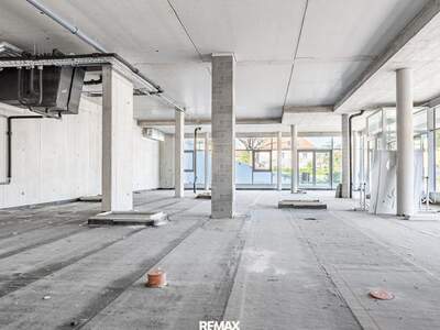 Gewerbeobjekt kaufen in 4490 St. Florian (Bild 3)