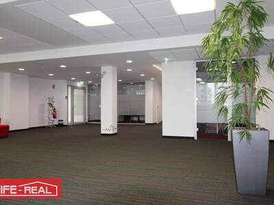 Gewerbeobjekt mieten in 4020 Linz