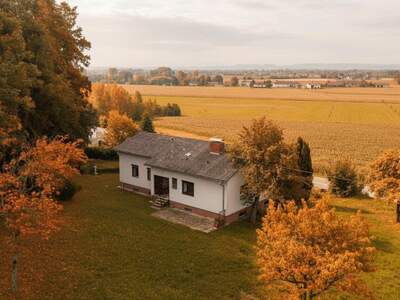 Haus kaufen in 4101 Feldkirchen (Bild 5)