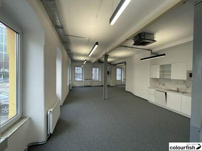 Gewerbeobjekt mieten in 1100 Wien (Bild 3)
