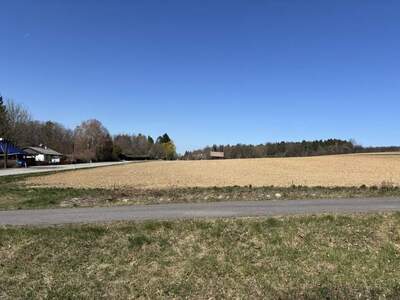 Grundstück kaufen in 7441 Pilgersdorf