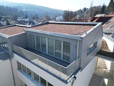 Haus mit Garten kaufen in 1190 Wien (Bild 5)