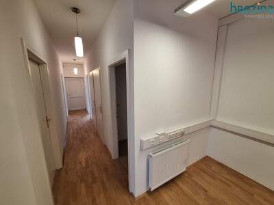 Gewerbeobjekt mieten in 1090 Wien (Bild 3)