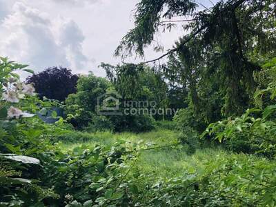 Grundstück kaufen in 2440 Mitterndorf