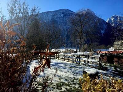 Mehrfamilienhaus kaufen in 9782 Nikolsdorf (Bild 3)