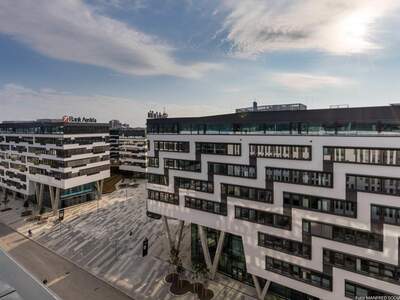 Gewerbeobjekt mieten in 1020 Wien (Bild 3)