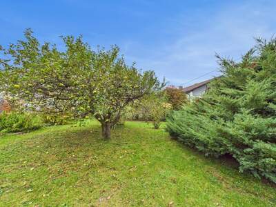 Einfamilienhaus kaufen in 4052 Ansfelden (Bild 2)