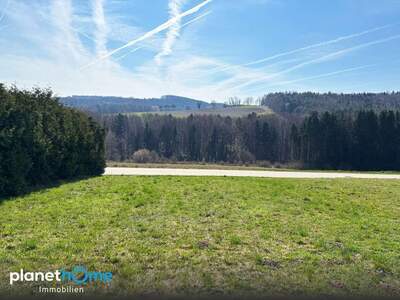 Grundstück kaufen in 3062 Kirchstetten