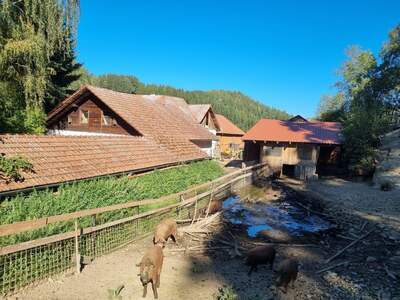 Bauernhaus kaufen in 4294 St. Leonhard (Bild 2)
