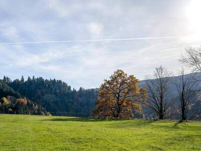 Grundstück kaufen in 6305 Itter