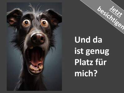 Wohnung kaufen in 9500 Villach