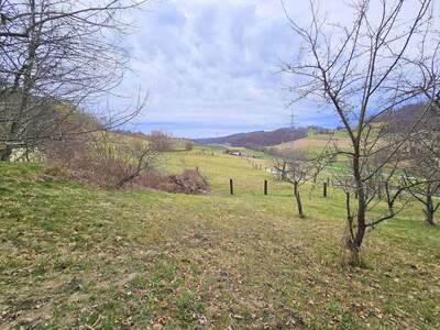 Haus kaufen in 8472 Spielfeld (Bild 4)