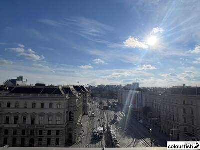 Gewerbeobjekt mieten in 1010 Wien (Bild 1)