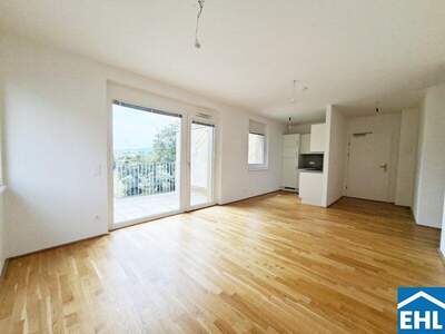 Terrassenwohnung mieten in 1120 Wien (Bild 1)