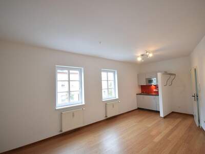 Altbauwohnung kaufen in 5020 Salzburg (Bild 1)