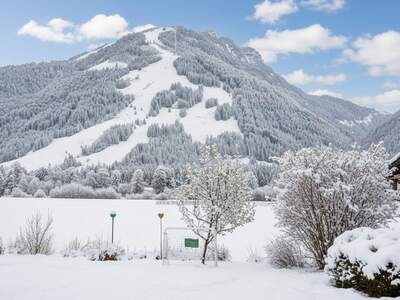 Altbauwohnung kaufen in 6345 Kössen (Bild 2)