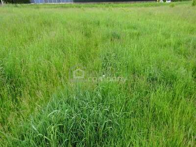 Grundstück kaufen in 3580 Horn