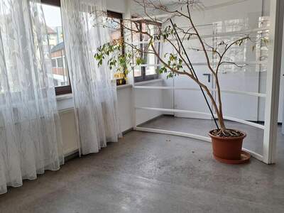 Gewerbeobjekt mieten in 4910 Ried (Bild 4)