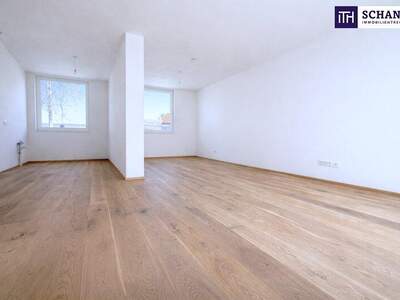 Terrassenwohnung kaufen in 2514 Traiskirchen