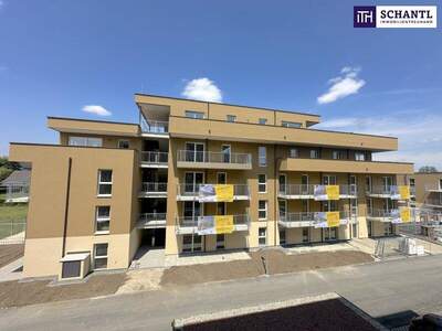 Terrassenwohnung kaufen in 8401 Kalsdorf (Bild 4)