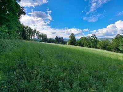 Gewerbeobjekt kaufen in 8582 Rosental (Bild 3)