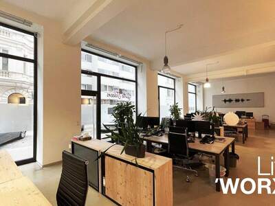 Gewerbeobjekt mieten in 1080 Wien (Bild 4)