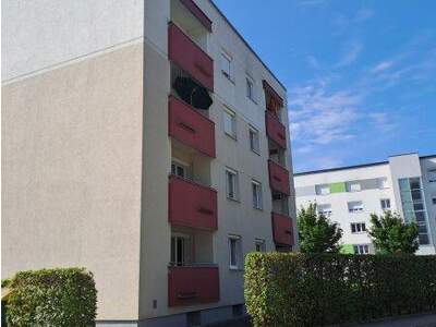 Wohnung mieten in 4400 Steyr (Bild 4)
