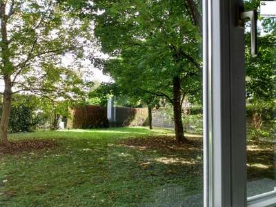 Gewerbeobjekt mieten in 5020 Salzburg (Bild 4)