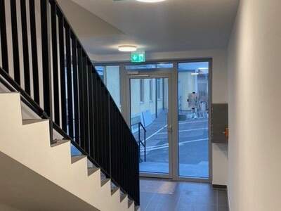Terrassenwohnung mieten in 1230 Wien (Bild 2)