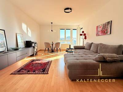 Wohnung mieten in 1230 Wien