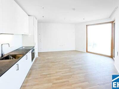 Terrassenwohnung mieten in 1100 Wien (Bild 3)