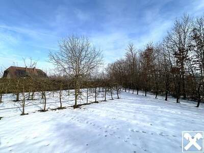 Grundstück kaufen in 4070 Eferding