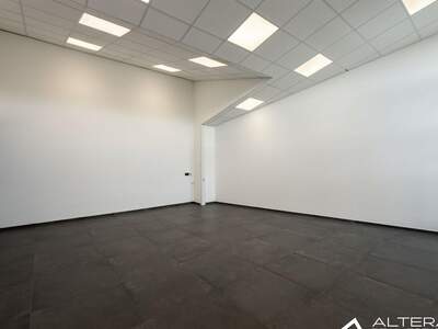 Gewerbeobjekt mieten in 8301 Hönigtal (Bild 3)