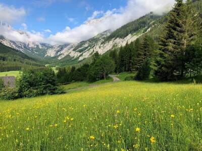 Grundstück kaufen in 8636 Seewiesen