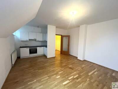 Apartment provisionsfrei mieten in 1190 Wien