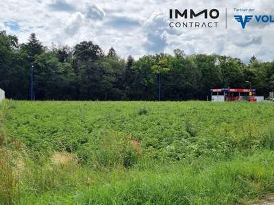 Gewerbeobjekt mieten in 3331 Kematen (Bild 3)