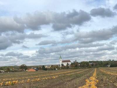 Grundstück kaufen in 2074 Unterretzbach